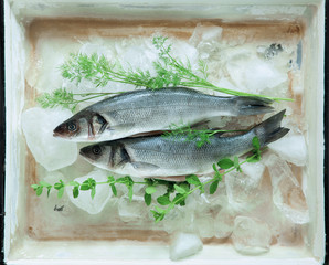 fresh sea bass whole, with herbs on ice, rustic food photography with vintage tray background 