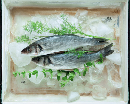 fresh sea bass whole, with herbs on ice, rustic food photography with vintage tray background 