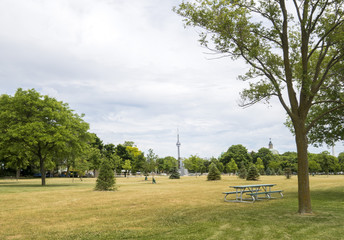 Park with a picnic bench on a sunny summer day in Toronto with a view of the CN tower