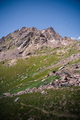 Landscape view of a field and mountains during the summer in Colorado. 