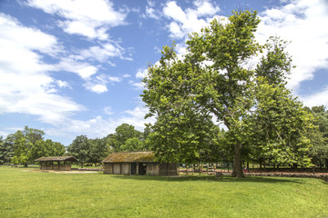 Garden tete d or (Parc de la Tete d'Or) in Lyon, France. Garden named by Gold Head for tresor. Park of the golden head in Lyon, France.
