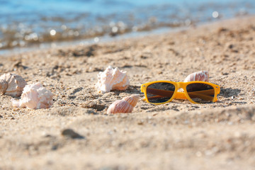 Sunglasses and shells on sand near sea. Beach object