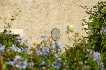 Badge hide in early spring