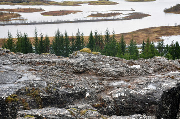 beautiful nature of Iceland, volcanic landscape covered with moss