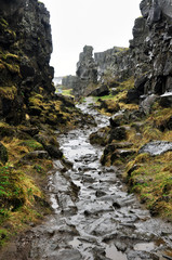 a picturesque winding road to the gorge between the rocks close-up.