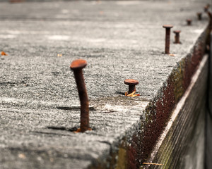 Old rusty nails begin to detach from old sun bleached wood in a wood construction project