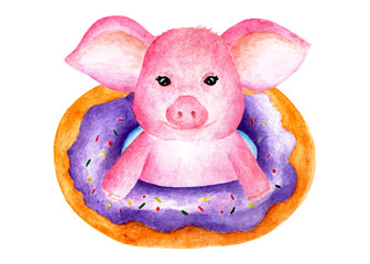 Pretty cute piggy. Watercolor illustration painted by hand.
Portrait of a pink pig. Pig on the inflatable circle.