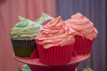  pink cupcake in a birthday celebrations