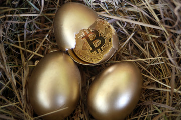 bitcoin in the shell of a Golden egg