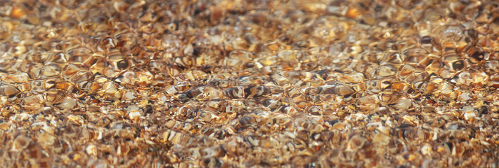 Marine background. Broken and whole shells in the water on the beach.  Banner. Abstract background. Selective focus. Close-up, side view, copy space.