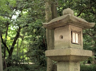 美しい森と石の灯籠