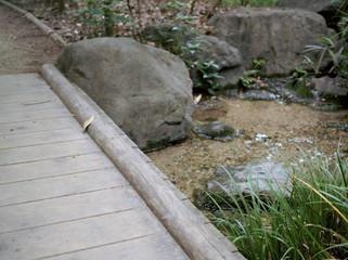 きれいな川と木の橋
