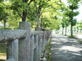 Naklejka premium 木に似せた手すりがある道