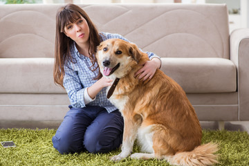 Happy woman dog owner at home with golden retriever