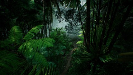 Zeitrafferansicht über einen wunderschönen üppigen grünen Dschungel. 3D-Rendering. © designprojects