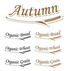 秋にまつわる文字と麦のシンボル｜set