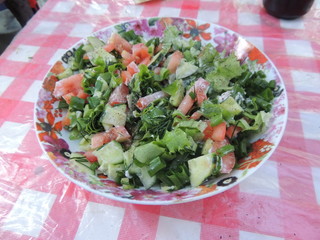 салат из помидоров, огурцов, петрушки и т.д