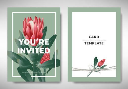 Greeting/invitation card template design, red protea flowers with leaves on green background, organic/nature theme