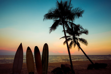Silhouette surfboard on tropical beach at sunset in summer. Seascape of summer beach and palm tree...
