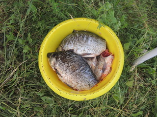 рыба приготовленная для жарки