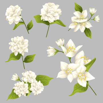 Happy Thai Mother's day Elements : Vector Illustration