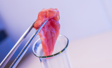 ein Stück Fleisch wird in einem Labor untersucht