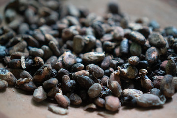 Closeup macro view of freshly roasted beans of luwak coffee in the big clay dish. One of the steps of preparing of the most expensive coffee in the world