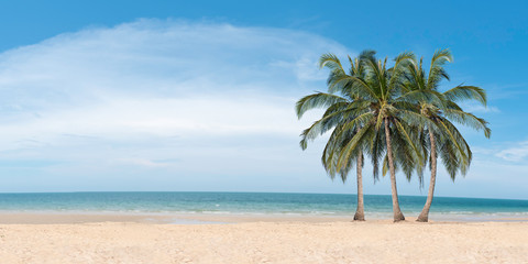 Naklejka na ściany i meble Coconut palms on the beach
