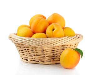 Fresh apricots in the basket are isolated on a white background.