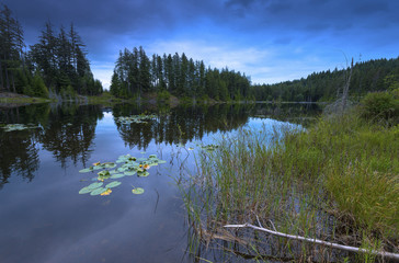 Scenic Vistas of Landscapes and Waterscapes of Bowen Island BC Canada.