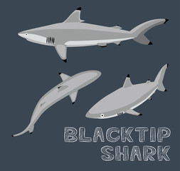 Obraz premium Blacktip Shark Cartoon Vector Illustration