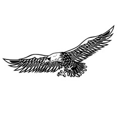 Eagle illustration on white background. Design element for poster, card, print, logo, label, emblem, sign.