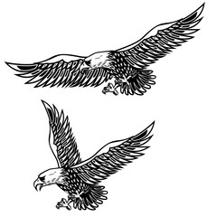 Eagle illustration on white background. Design element for poster, card, print, logo, label, emblem, sign.
