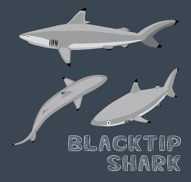Blacktip Shark Cartoon Vector Illustration