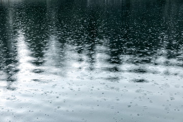 trees reflections in water. raindrops rippling on lake surface during rain