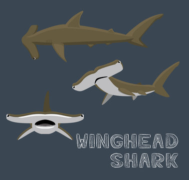Winghead Shark Cartoon Vector Illustration