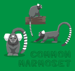 Fototapeta premium Monkey Common Marmoset Cartoon Vector Illustration