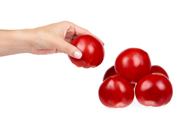 Fresh organic red tomato with hand isolated on the white background.
