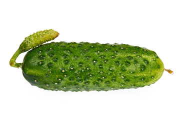 Fresh green cucumber isolated on the white background.