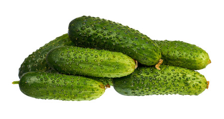 Fresh green cucumber isolated on the white background.