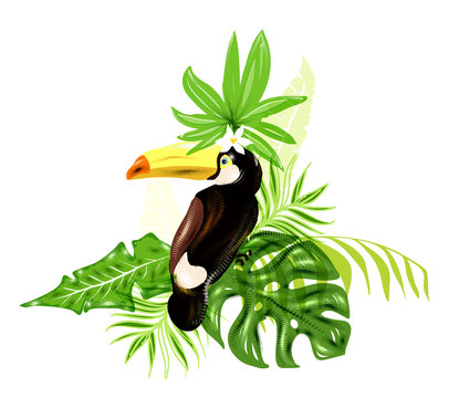 Тropical plants with tukan.
