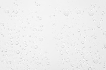 Water Drops on White Background