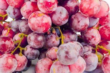 raisins rosés © Unclesam