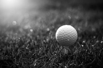 Golf ball with warm sunlight and raining at sunset
