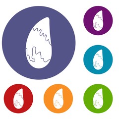 Brazil nut icons set in flat circle red, blue and green color for web