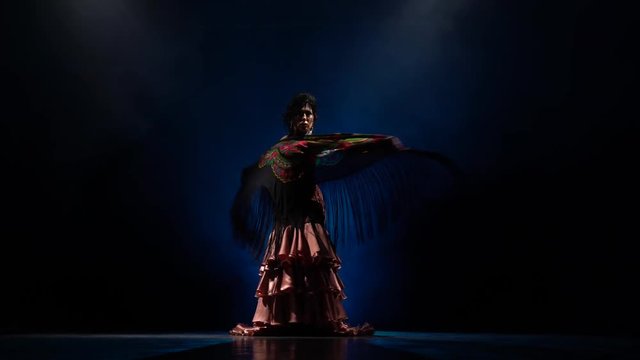 Girl is dancing the dance of flamenco. Light from behind. Smoke blue background