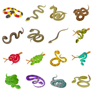 Snake icons set. Isometric illustration of 16 snake icons set vector icons for web