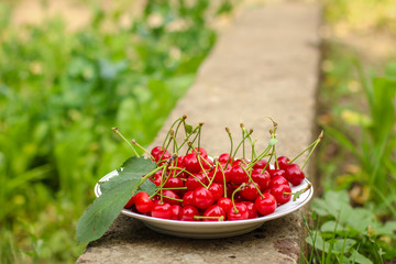 cherries - tasty and juicy berries. food background