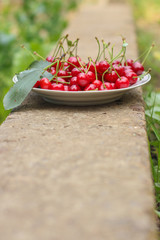 cherries - tasty and juicy berries. food background