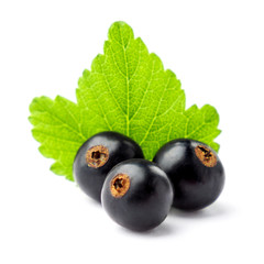 Fresh black currant on white with leaf